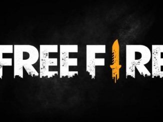 Free Fire Codes