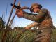 Freeman Guerrilla Warfare Cheats