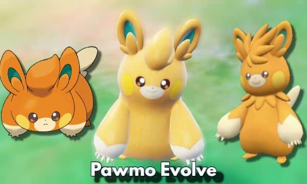 Full Guide How to Make Pawmo Evolve in Pokémon Scarlet and Violet
