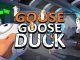 goose goose duck guide