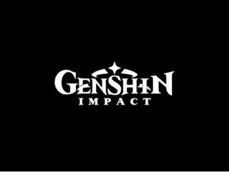 Genshin Impact Level Up