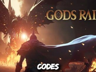 Gods Raid Codes