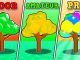 Grow A Tree Tycoon Codes