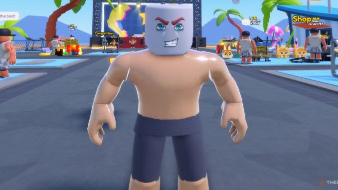 Gym Star Simulator