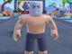 Gym Star Simulator
