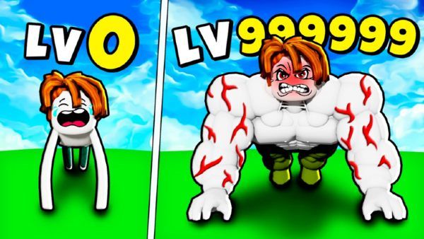 Gym Training Simulator Codes