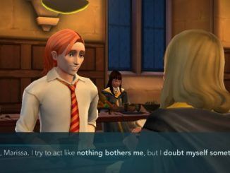 Harry Potter Hogwarts Mystery Bill Weasley Answers