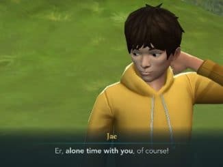 Harry Potter Hogwarts Mystery Jae Kim Answers