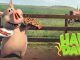Hay Day Mod Menu APK