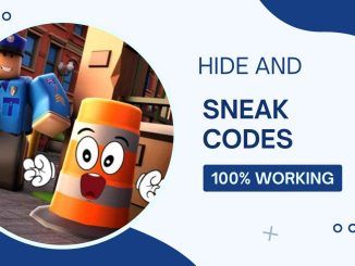 Hide and SNEAK codes