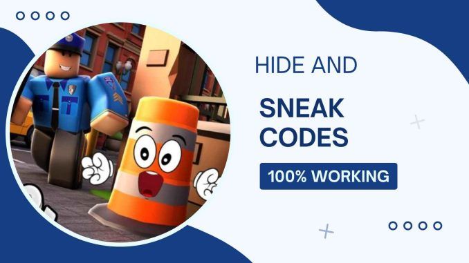 Hide and SNEAK codes