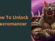 How To Unlock Necromancer
