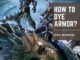 How to Dye Armor in The First Descendant