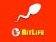 How to Escape Prison Bitlife