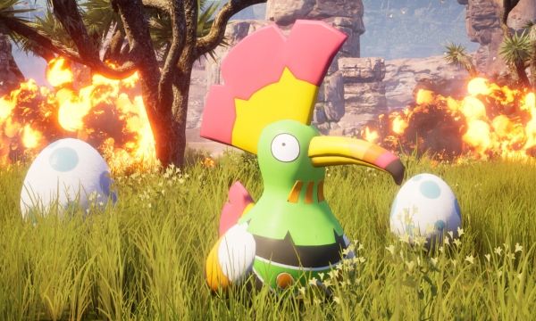 How to Find and Farm Gunpowder from Tocotoco in Palworld