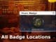 How to Get All Badges Stray – All Badge Locations