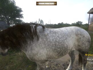 Kingdom Come Deliverance How to Get Warhorse Jenda