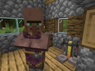 How to Make a Cleric Villager in Minecraft
