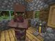 How to Make a Cleric Villager in Minecraft