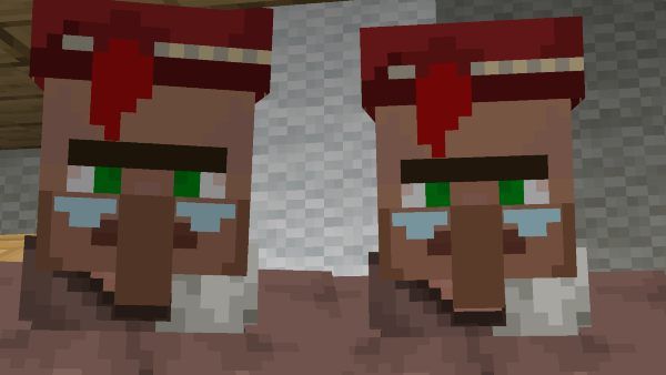 How to Make a Librarian Villager in Minecraft