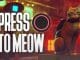 How to Meow in Stray
