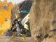 How to Obtain and Breed Orserk in Palworld