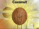 How to get Coconut in Secret Staycation