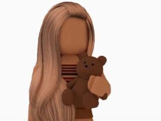 How to have no Face in Roblox