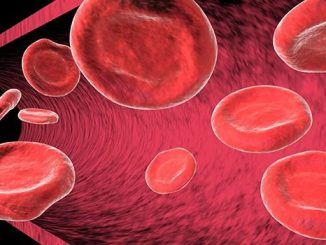ICD10 code for Anemia