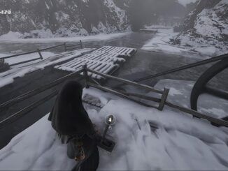Indika How to Cross the River
