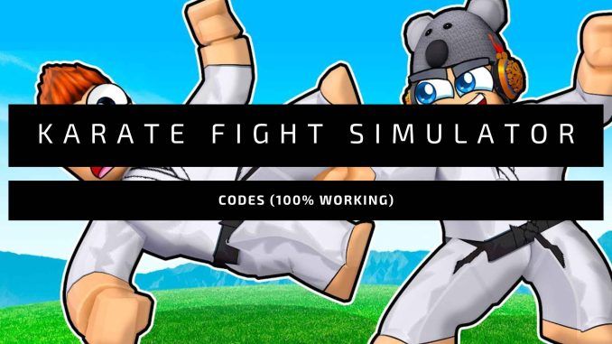 Karate Fight Simulator