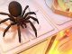 Kill It With Fire Arachno Gauntlet