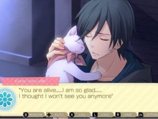 Kitty Love Kohei Natsume Walkthrough