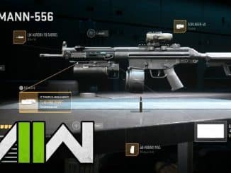 best lachmann 556 loadout