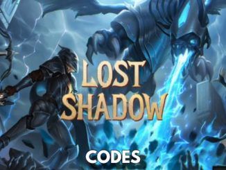 Lost Shadow Codes