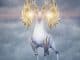 best magilumic orbs in the diofield chronicle