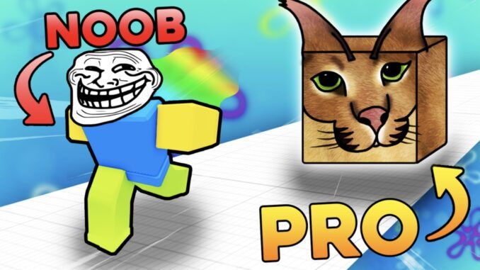 Meme Race codes