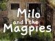 Milo and the Magpies Walkthrough