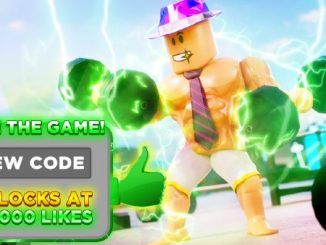 Muscle Simulator Codes