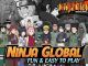 Ninja Global Codes