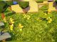 Noob Army Tycoon Codes