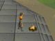 OSRS Firemaking Training
