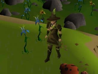 OSRS Thieving Boost