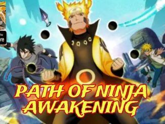 Path of Ninja Awakening Codes