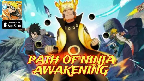 Path of Ninja Awakening Codes