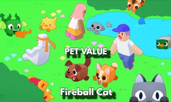 Pet Fireball Cat Value Pet Simulator X