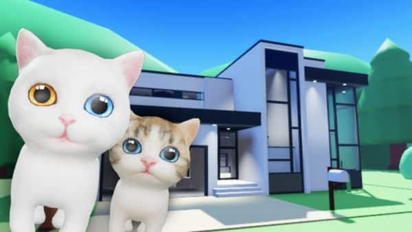 Pet Party Codes