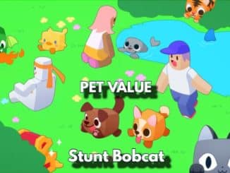 Pet Stunt Bobcat Value Pet Simulator X