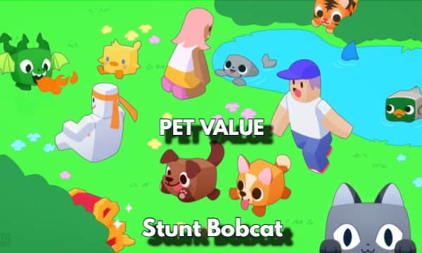 Pet Stunt Bobcat Value Pet Simulator X