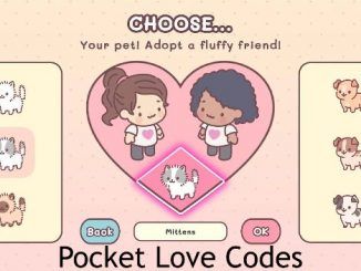 Pocket Love Codes